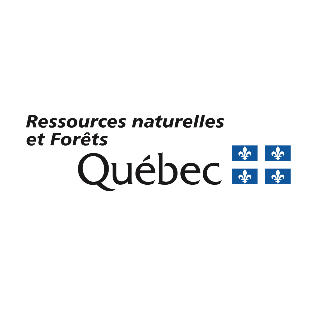 Ministère des Ressources naturelles et des Forêts